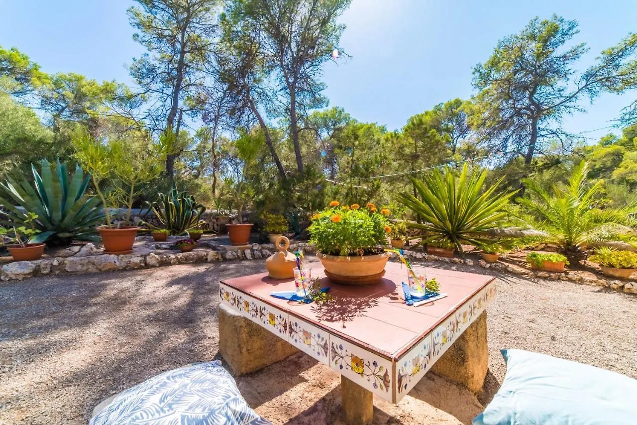 Ferienhaus Ideal Property Mallorca - Casa Tenis Portopetro