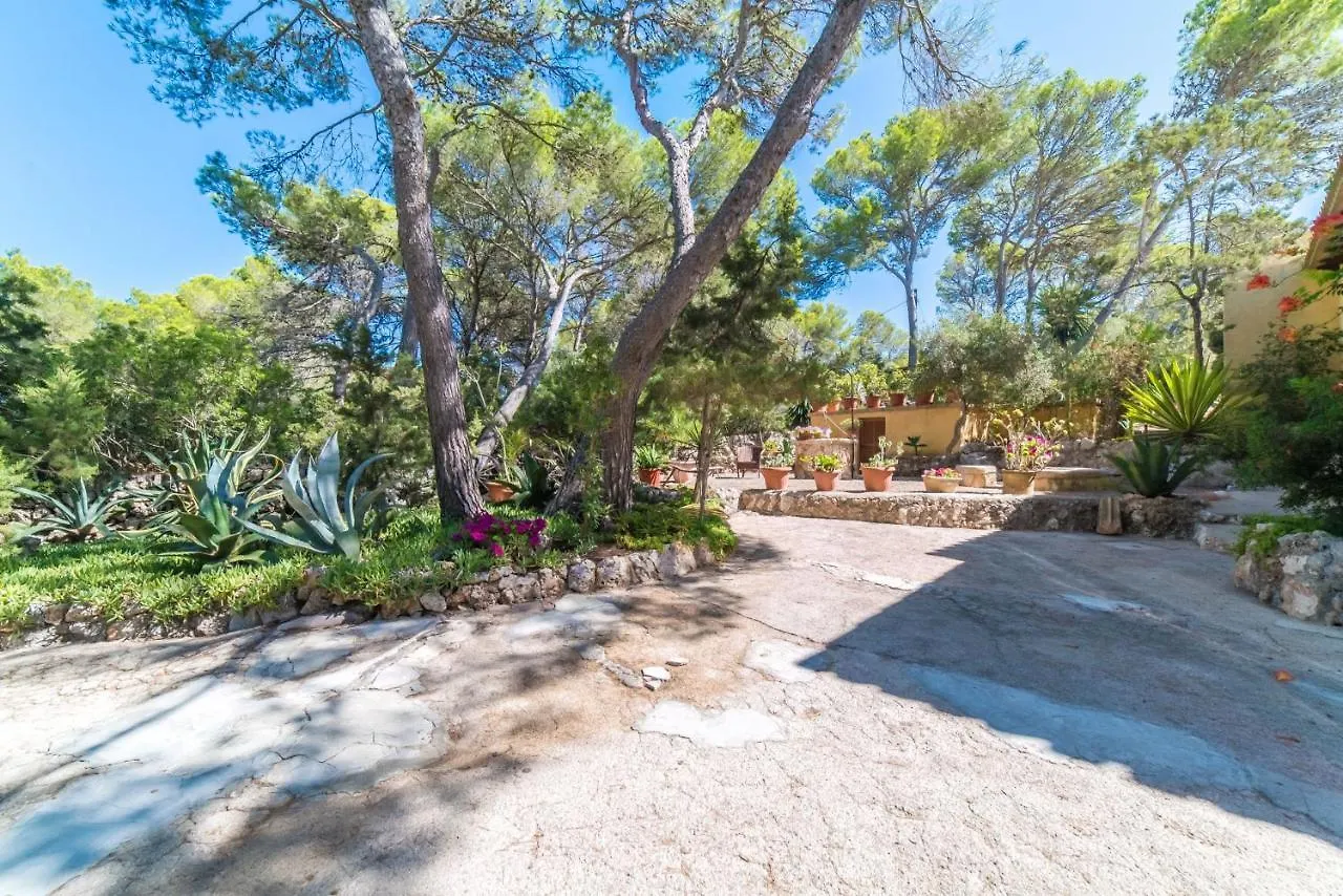 Ferienhaus Ideal Property Mallorca - Casa Tenis Portopetro Spanien